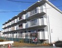 茶屋前コーポ