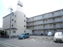 ドリーム松村