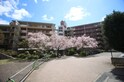 阪急日生ﾆｭ-ﾀｳﾝ花咲く丘の街Ｃ棟