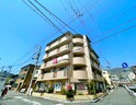 ダンディライオン本山