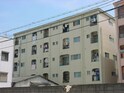 大和川パピレス