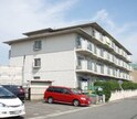 マッシュハイムⅡ