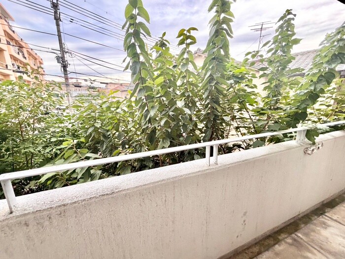 物件内観写真22　(室内からの展望)