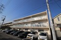 プラリア黄金野