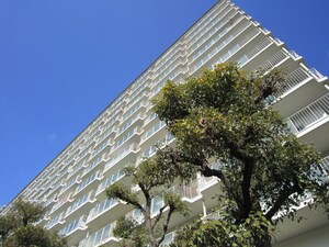 ﾛ-ﾚﾙﾊｲﾂ北天満２号棟(226)外観写真