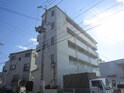 エミール津田