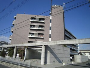 PRIMEVERE泉水外観写真