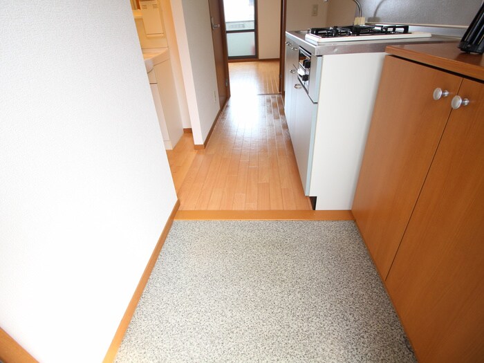 物件内観写真19　(玄関)