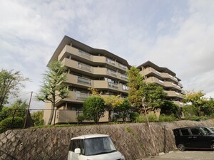 男山Ｅ団地15棟(401)外観写真