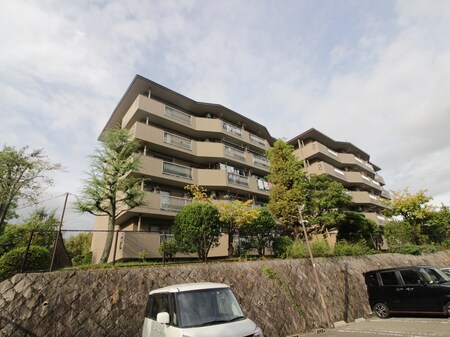 男山Ｅ団地15棟(401)外観写真