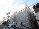 オクサリス淡路