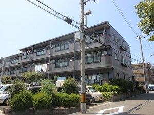 プレヴィア泉ヶ丘外観写真