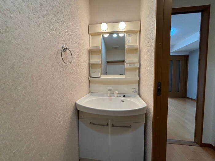 物件内観写真9　(洗面)