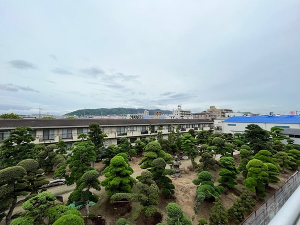 室内からの展望