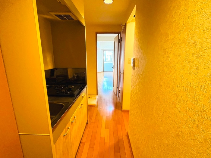 物件内観写真16　(廊下)