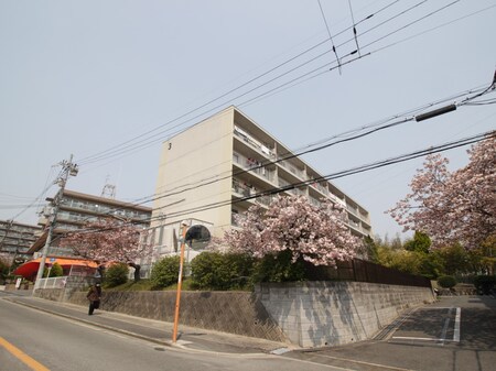 枚方ハイツ３号棟(401)外観写真
