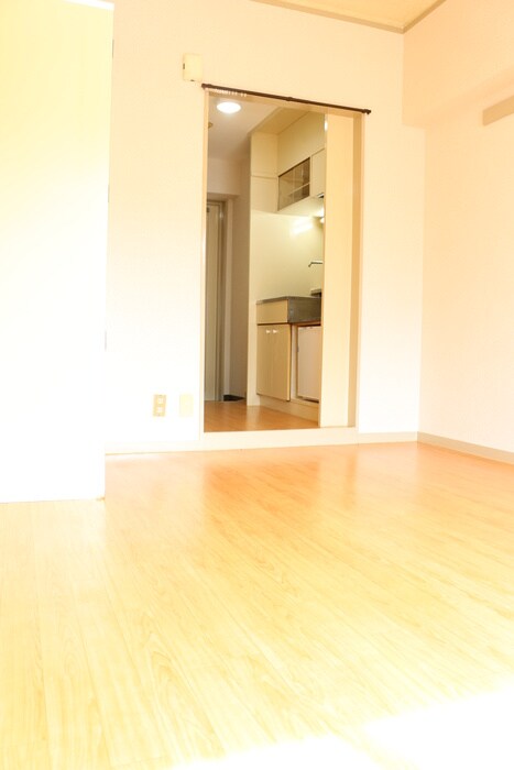 物件内観写真9　(居室)