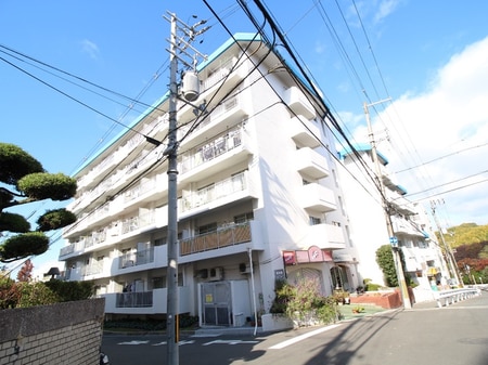 ﾗｲｵﾝｽﾞﾏﾝｼｮﾝ第2緑地公園(503)外観写真