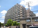 イトーピア東千里（810）
