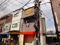 ドングリマンション