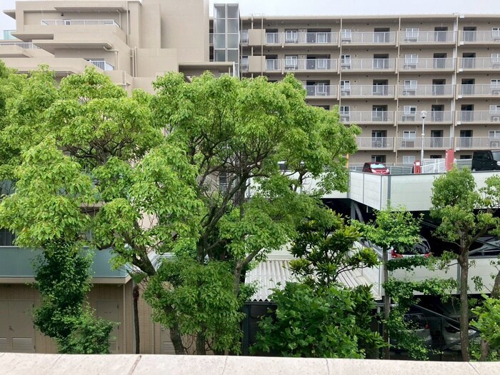 物件内観写真12　(室内からの展望)