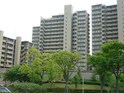 新千里桜ヶ丘ﾒｿﾞﾝｼﾃｨ四番館(101)