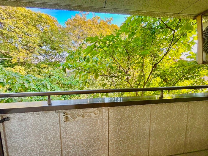 物件内観写真22　(室内からの展望)