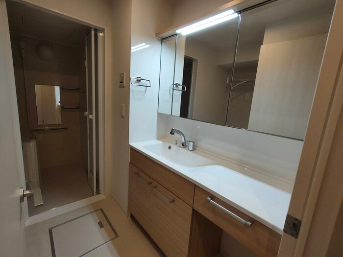 リベルテ草津の洗面