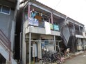 村井文化