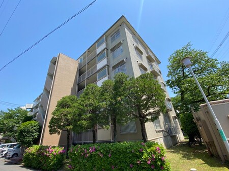 リバーハイム宇治(501)外観写真