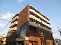 ステラハウス38