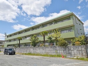 三晃ｸﾞﾘｰﾝﾏﾝｼｮﾝ鳥飼（303）外観写真