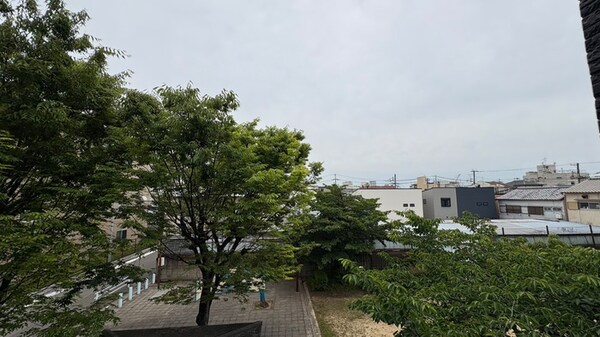 室内からの展望
