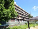 高津橋農住団地D棟