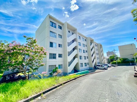 枚方ハイツ3号棟（206）外観写真