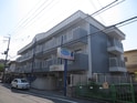 アムズ　コート