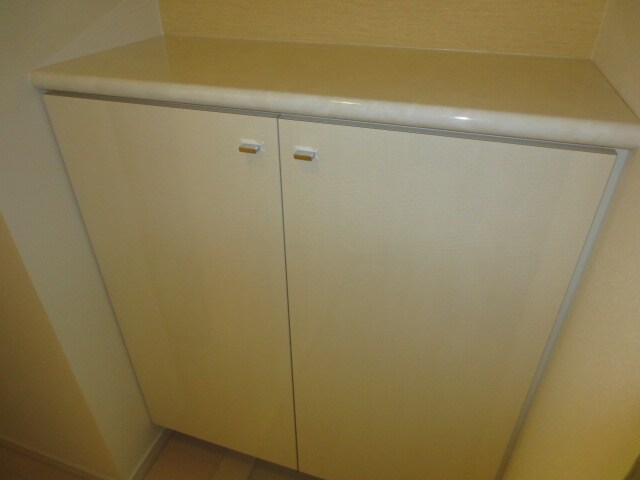 物件内観写真8　(靴箱)