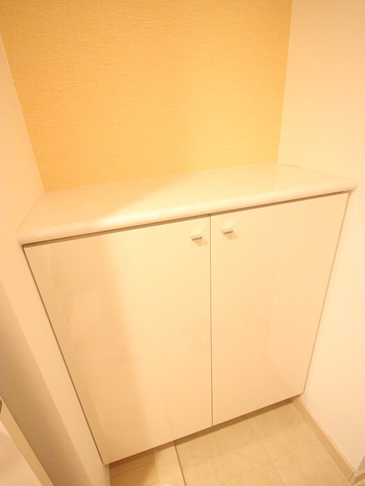 物件内観写真11　(収納)