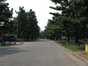 パ－クシティ－羽衣外観写真