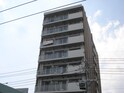 ﾌｪﾆｯｸｽﾚｼﾞﾃﾞﾝｽ高井田Ⅱ