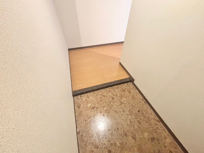 物件内観写真5　(玄関)