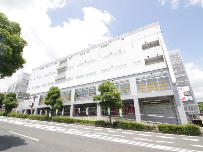 ドン・キホーテ洛西店