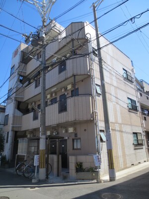 ポインセチア外観写真