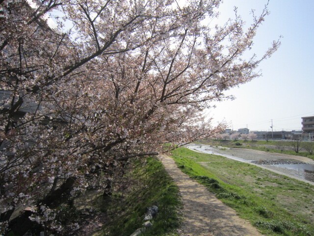 物件外観写真6　(周辺環境)