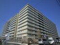 メイツブラン長岡京（203）