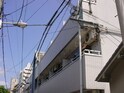 フローラル・セキメ