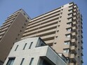 ステイディア大津(203)