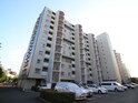 淀川ﾊﾟｰｸﾊｳｽ2号棟ﾍﾞｺﾞﾆｱ(811)