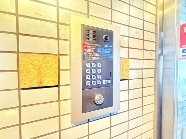 同型モデル