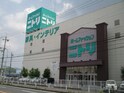 COME　MOROFUKU　A号地